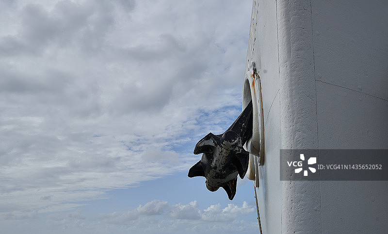 锚和船头图片素材