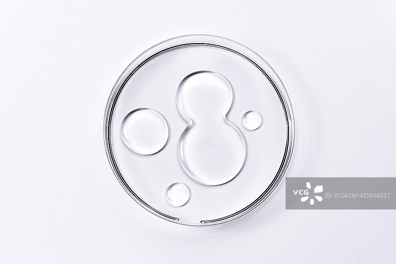 白色背景培养皿中的凝胶样品，科研化学研究，最新纳米技术概念图片素材