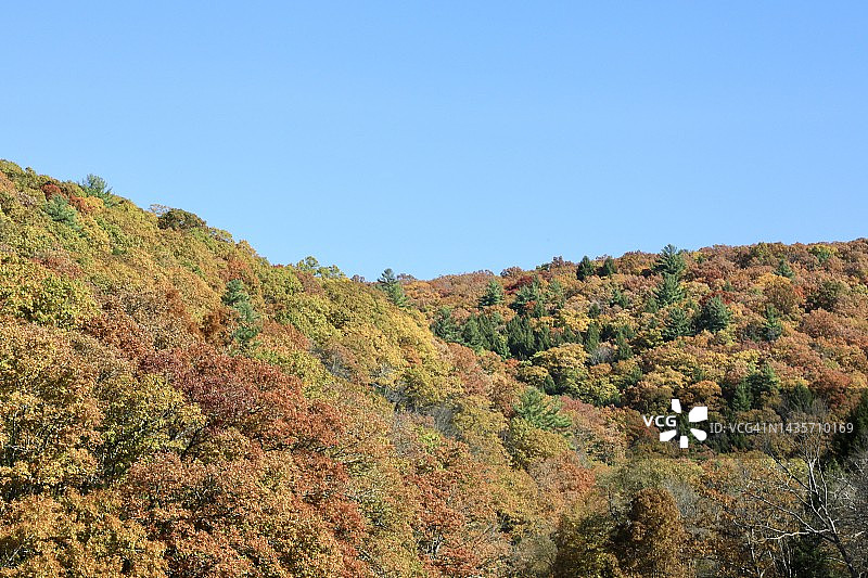 山坡上的秋色图片素材