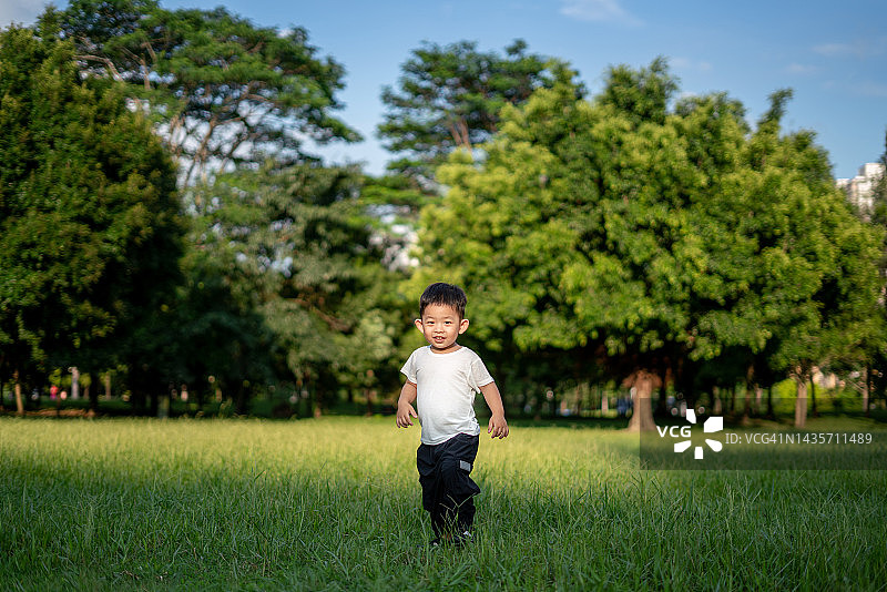 可爱的小男孩在草地上快乐地玩耍图片素材