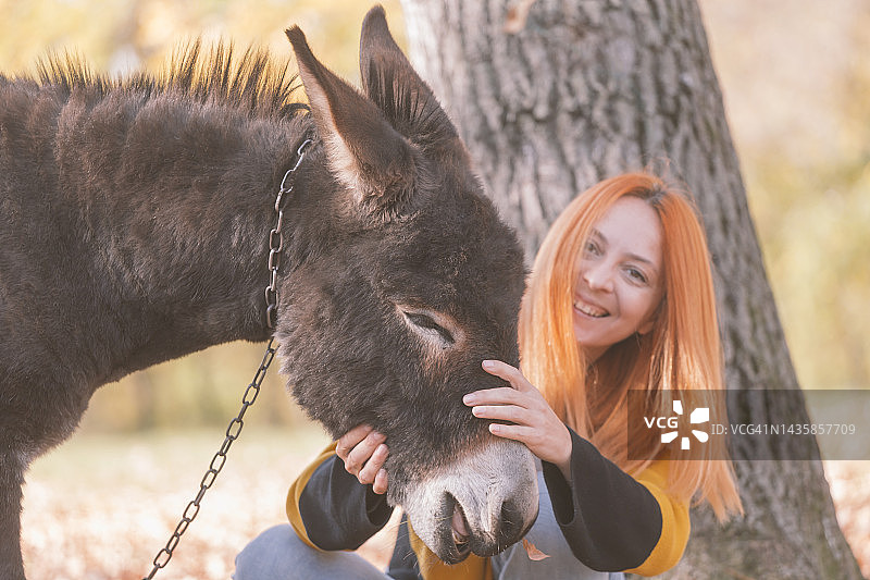 女人喜欢和驴玩耍图片素材