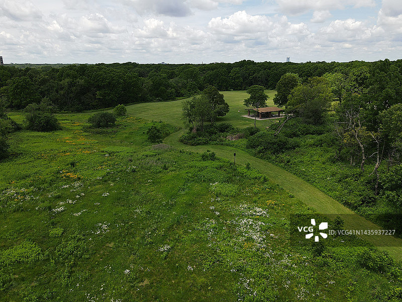 贝米斯伍德森林保护区图片素材