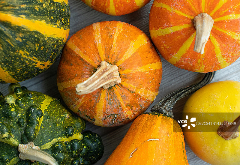 秋季蔬菜平铺，彩色装饰小南瓜平铺在橙色背景上图片素材