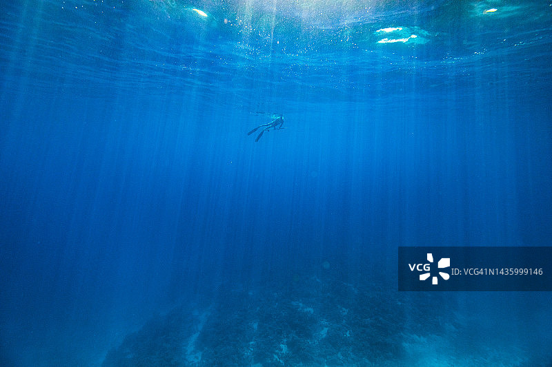 在广阔的蓝色海洋中探索和捕鱼的持矛渔夫图片素材