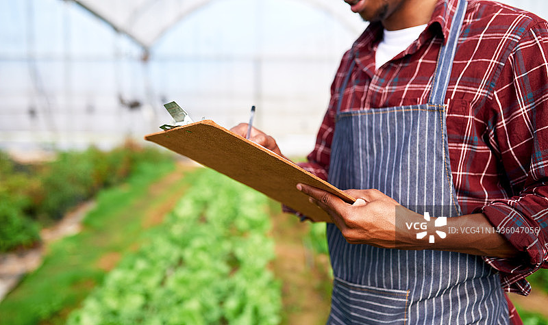 农民使用带清单的平板电脑进行农作物生长数据分析，用于可持续农业出口。园艺工人在温室管理健康食品时书写文件。图片素材