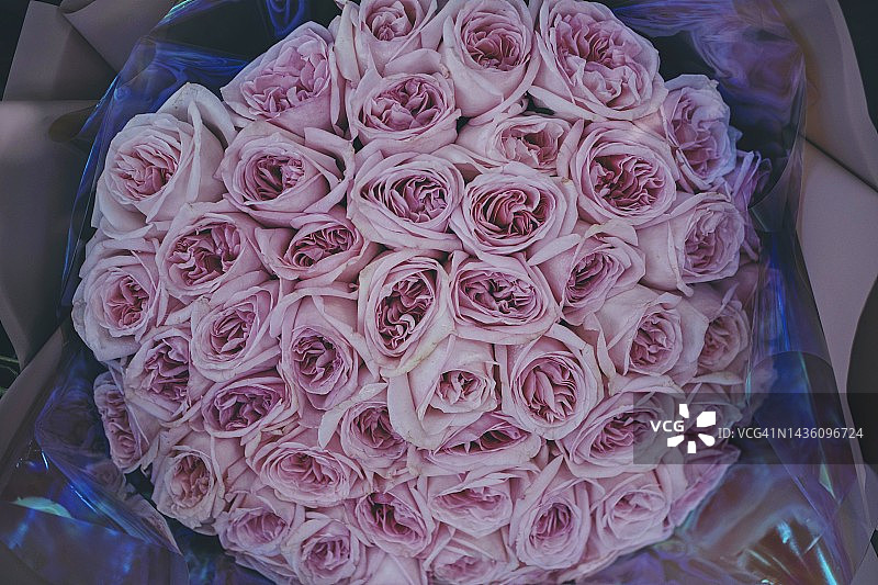 玫瑰花束特写图片素材