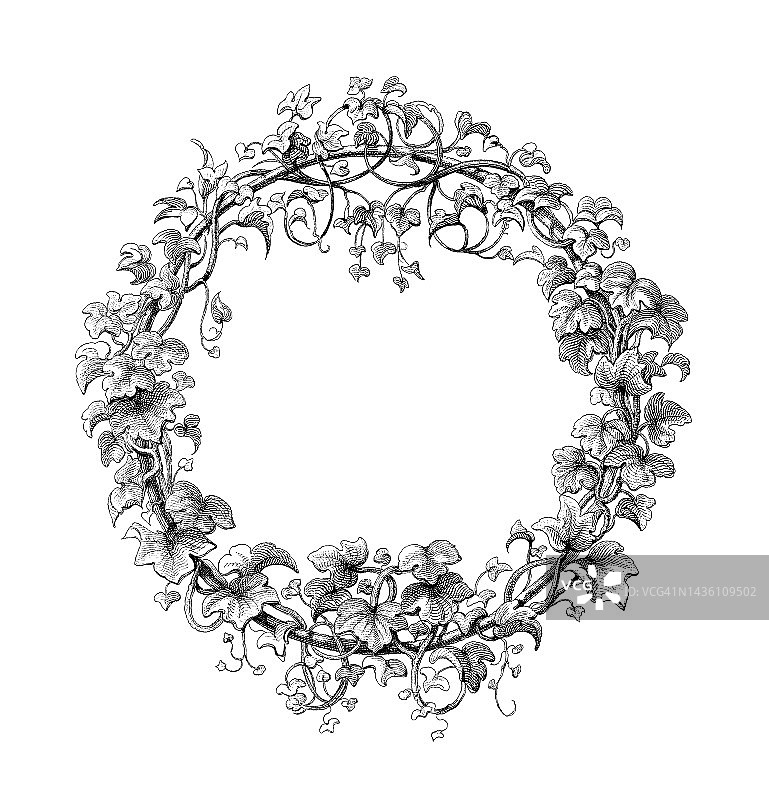 旧雕刻插图装饰点缀框架图片素材