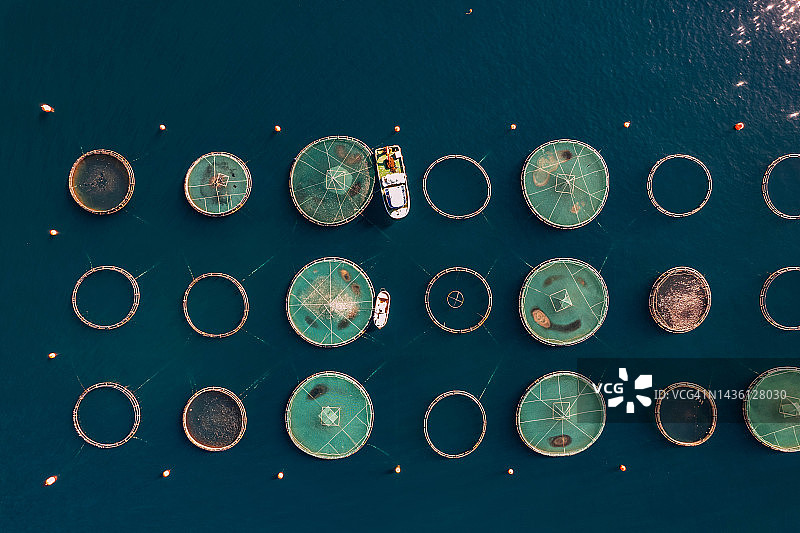 鸟瞰海中养鱼场图片素材