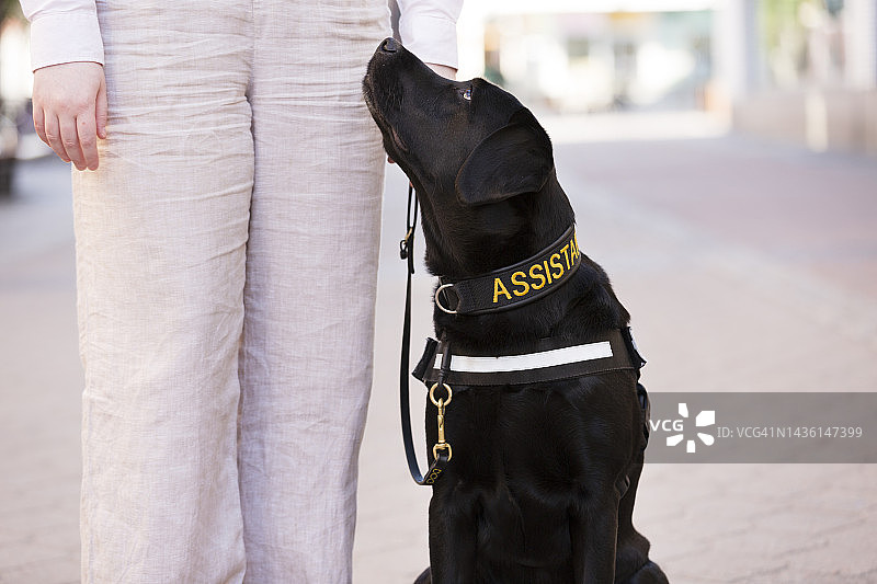 在导盲犬帮助下行走的女人图片素材