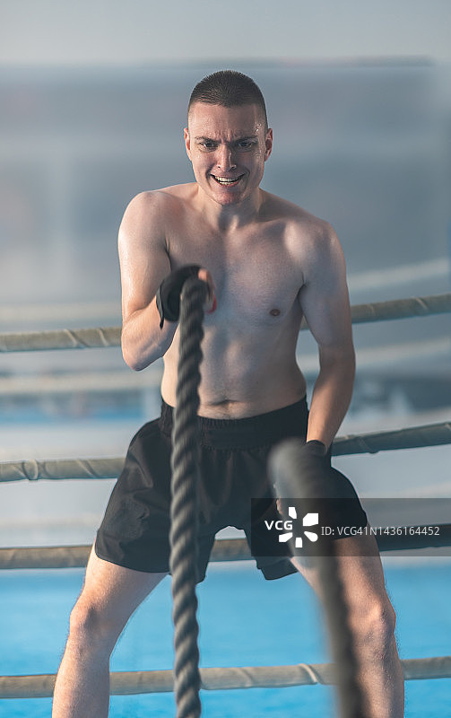 拳师犬用战绳训练图片素材