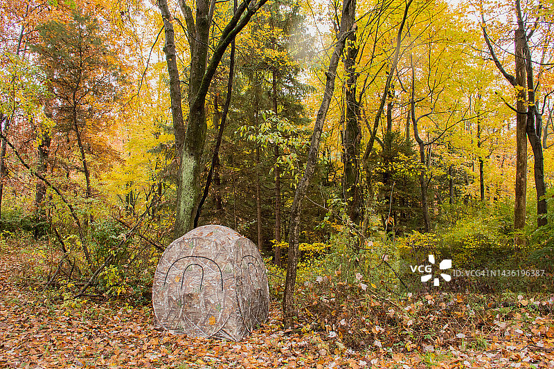 秋季的白尾鹿狩猎架：地面伪装图片素材