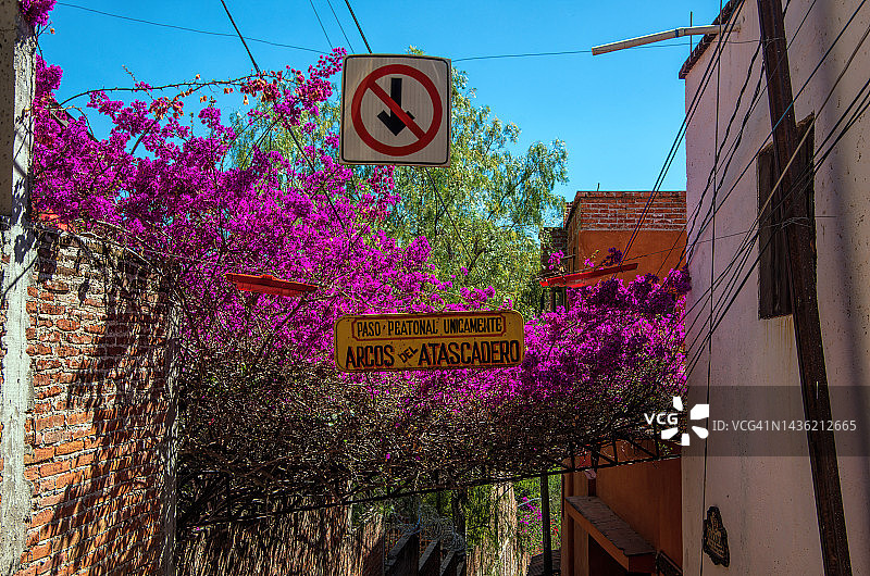 阿科斯·德尔·阿塔斯卡德罗，圣米格尔·德阿连德，瓜纳华托，墨西哥图片素材