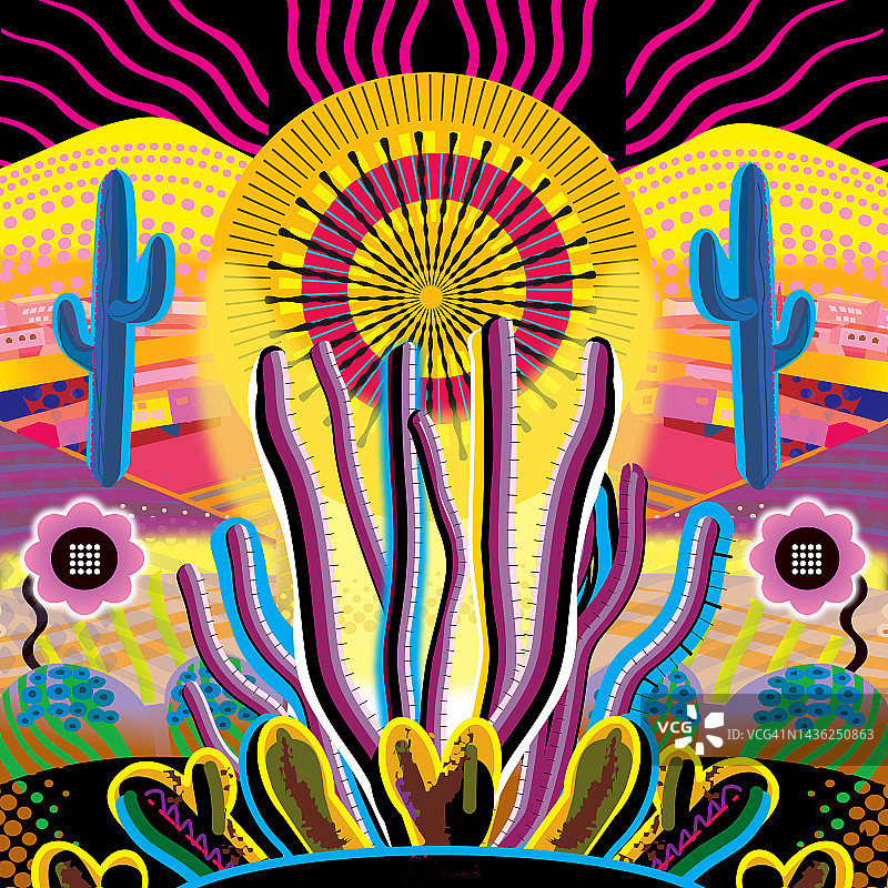 沙漠花园景观日出，包括巨人柱、奥科蒂洛和开花仙人掌图片素材