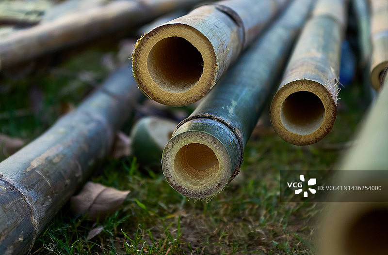 竹堆的特写镜头图片素材