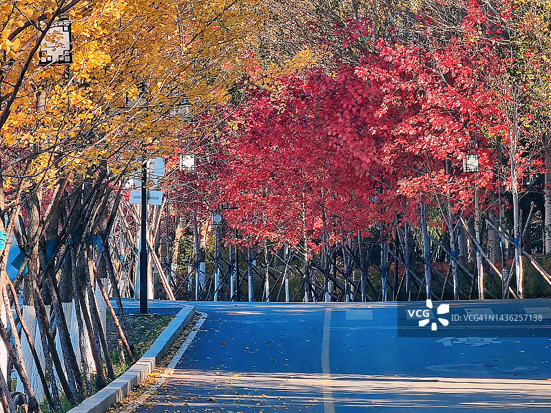 秋季的十字路口图片素材
