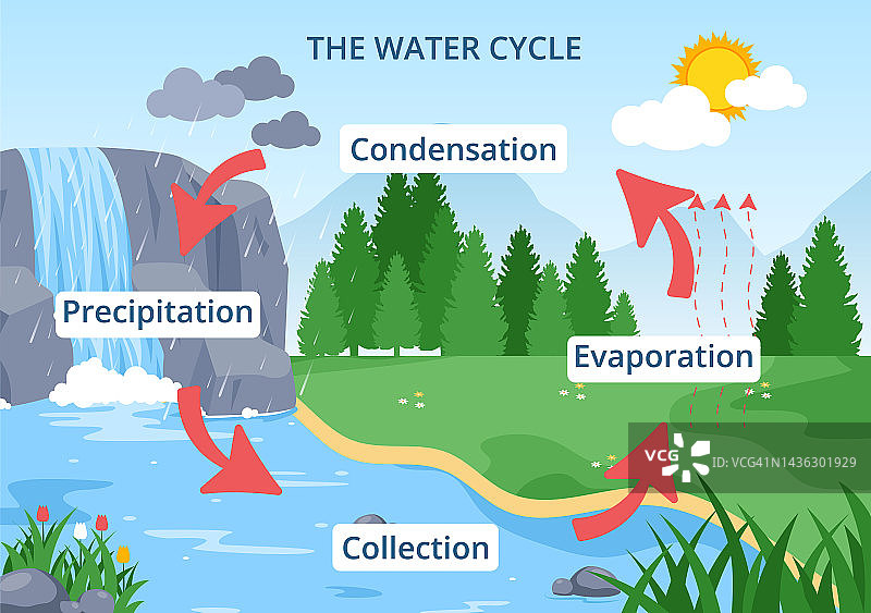 地球自然环境中蒸发、凝结、降水的水循环扁平卡通手绘模板插图图片素材