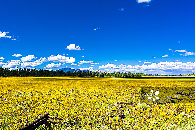 亚利桑那州马歇尔湖，一个干涸的湖泊图片素材