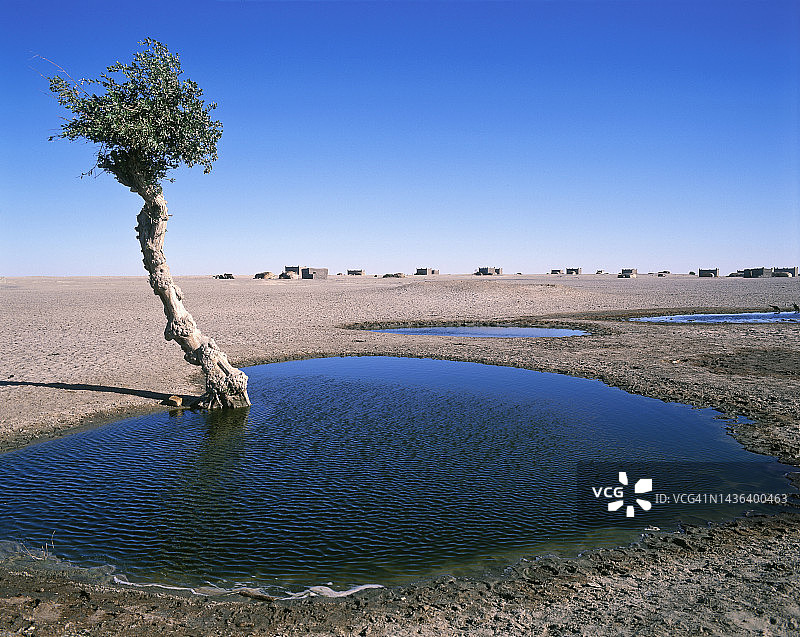 乍得平坦的绿洲景观图片素材