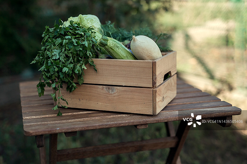 摆满蔬菜的木箱图片素材