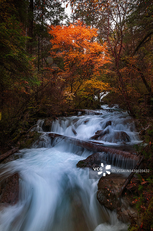 中国四川省九寨沟的秋景图片素材
