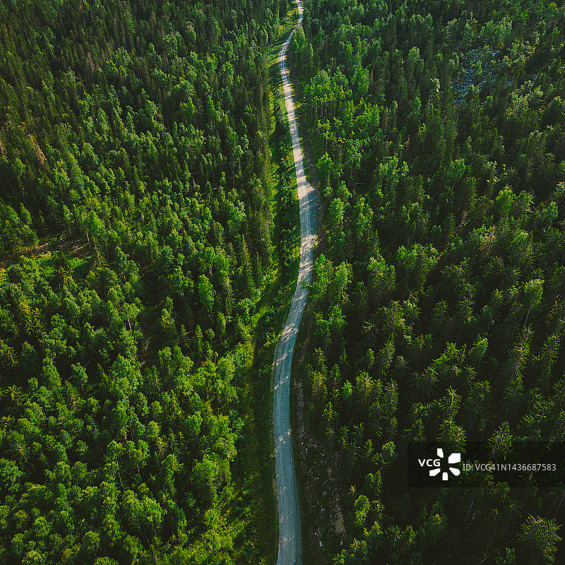 芬兰：蜿蜒于茂密森林山谷中的乡间小路航拍图片素材
