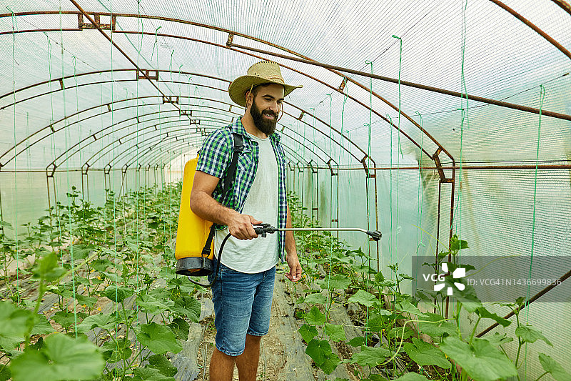 年轻男人在温室里喷洒植物图片素材