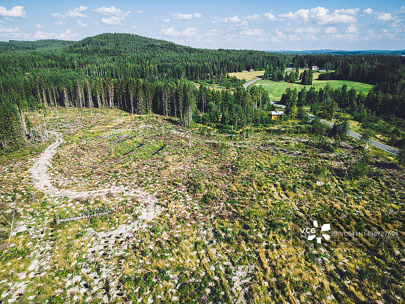 芬兰北部最近砍伐森林的农村地区，农舍和蜿蜒道路旁的航拍景色图片素材
