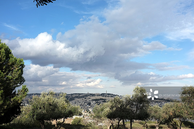 耶路撒冷风景：前景为橄榄树，背景为橄榄山图片素材