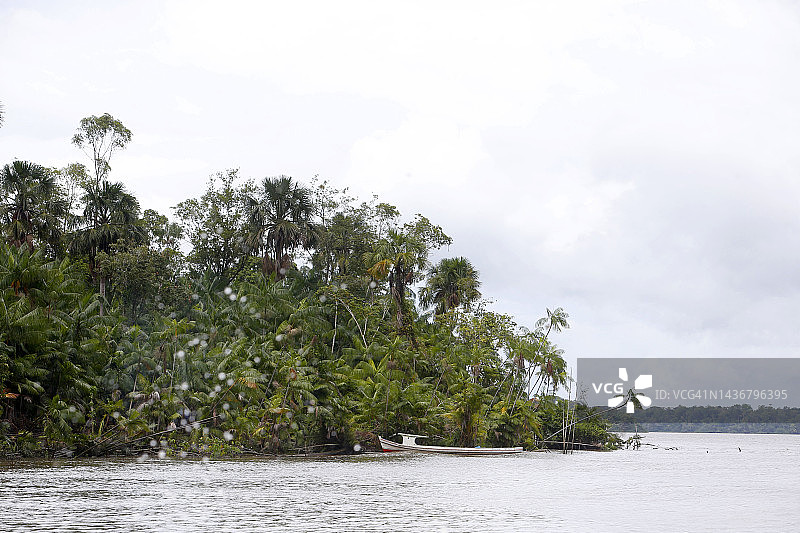 亚马逊河与森林图片素材