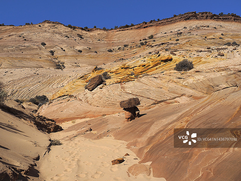 穿越犹他州大阶梯埃斯卡兰特国家纪念碑大角峡谷的沙质徒步小径图片素材
