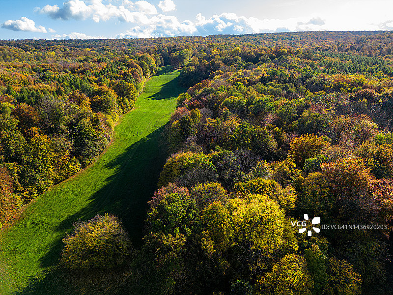 秋天俯瞰色彩斑斓的树木美景图片素材