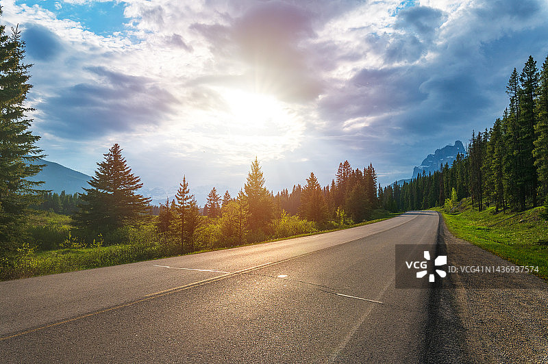 阳光洒在森林中的沥青路上图片素材