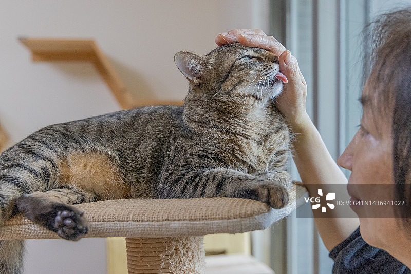 积极的情绪图片素材