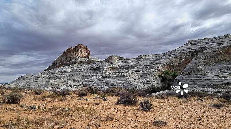 亚利桑那州佩吉附近种马点的交叉层砂岩全景（帕里亚峡谷-朱砂崖荒野）图片素材