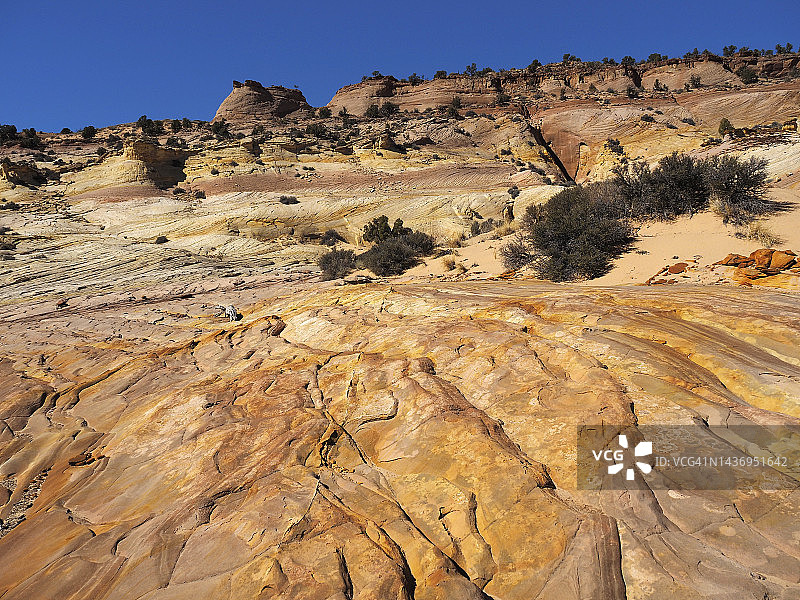 犹他州大阶梯埃斯卡兰特国家纪念碑大角峡谷的交叉层理砂岩层图片素材