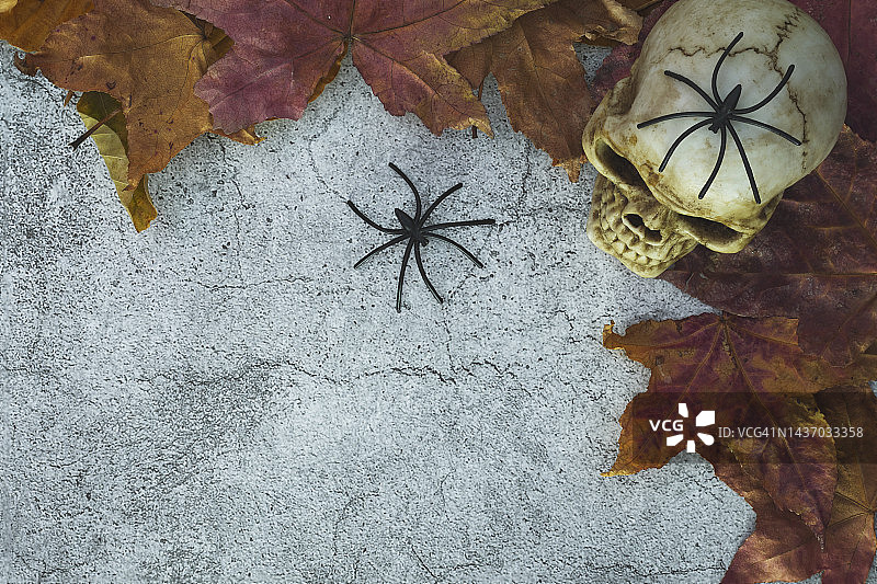 黄色背景上的骷髅和蜘蛛图片素材