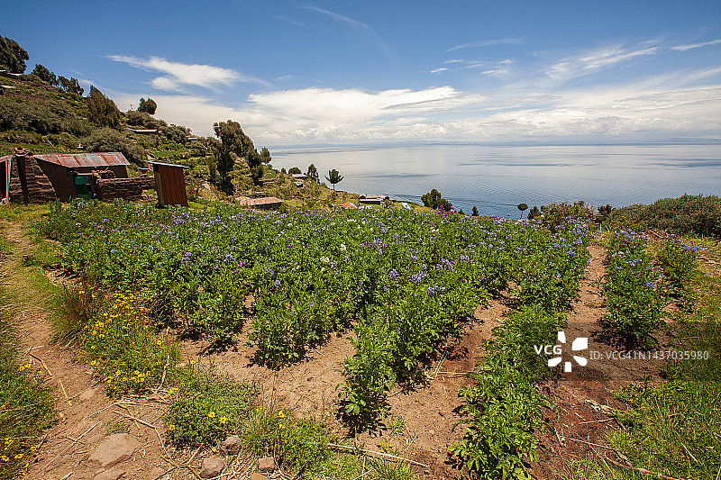 秘鲁普诺塔基勒岛的自然乡村景观图片素材