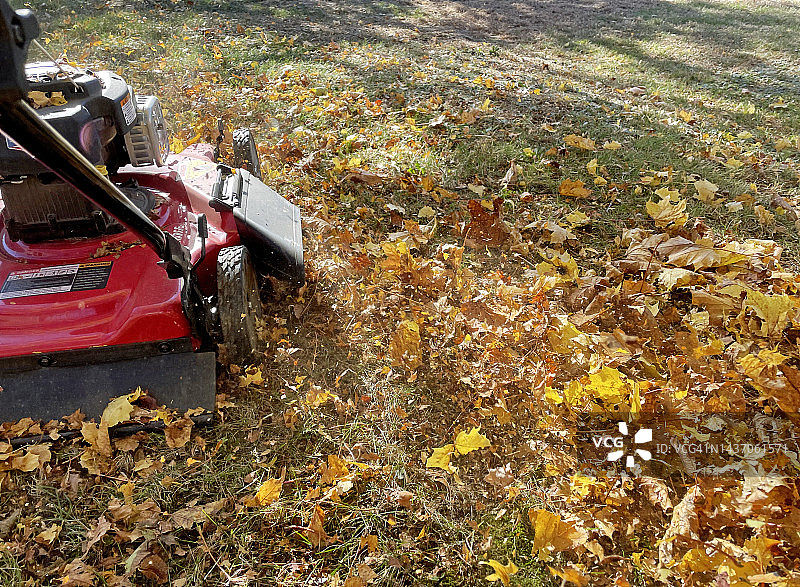 用手推式割草机覆盖树叶图片素材