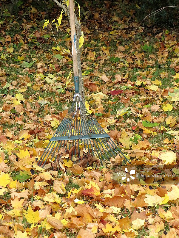 草耙和树叶图片素材