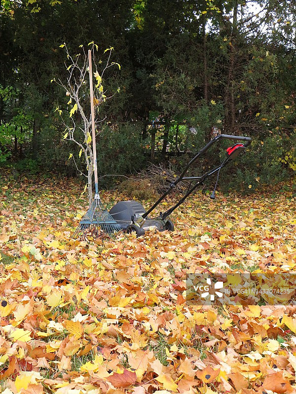 季节更替图片素材