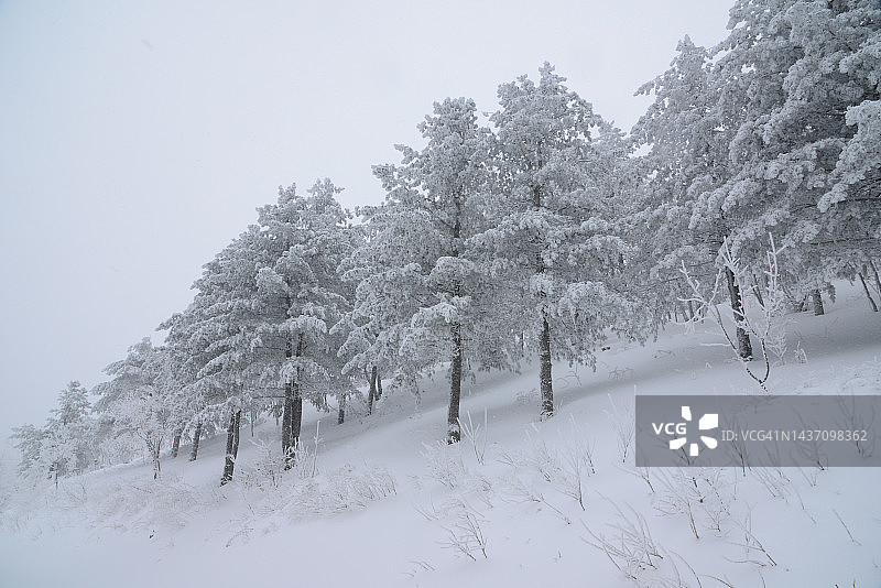 江原道旌善郡的冬季图片素材
