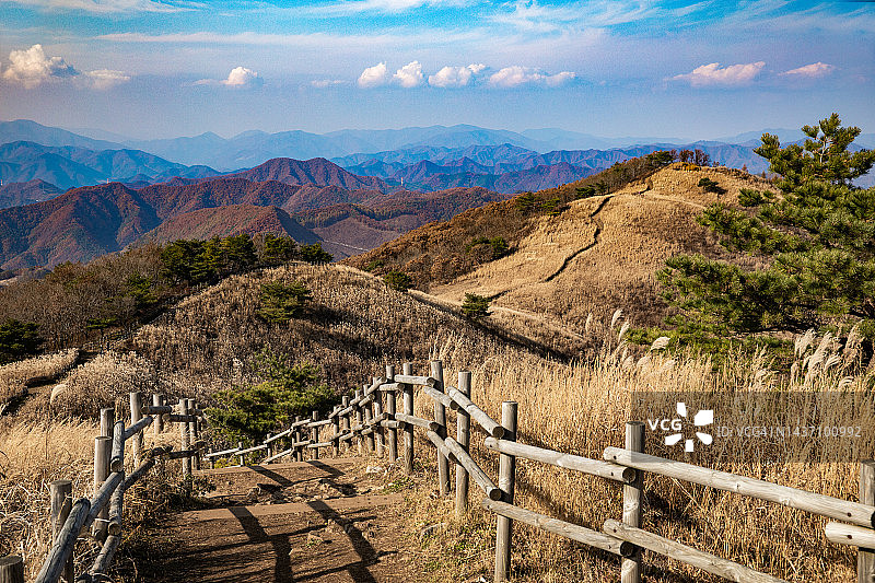江原道旌善郡民屯山秋季芒草图片素材