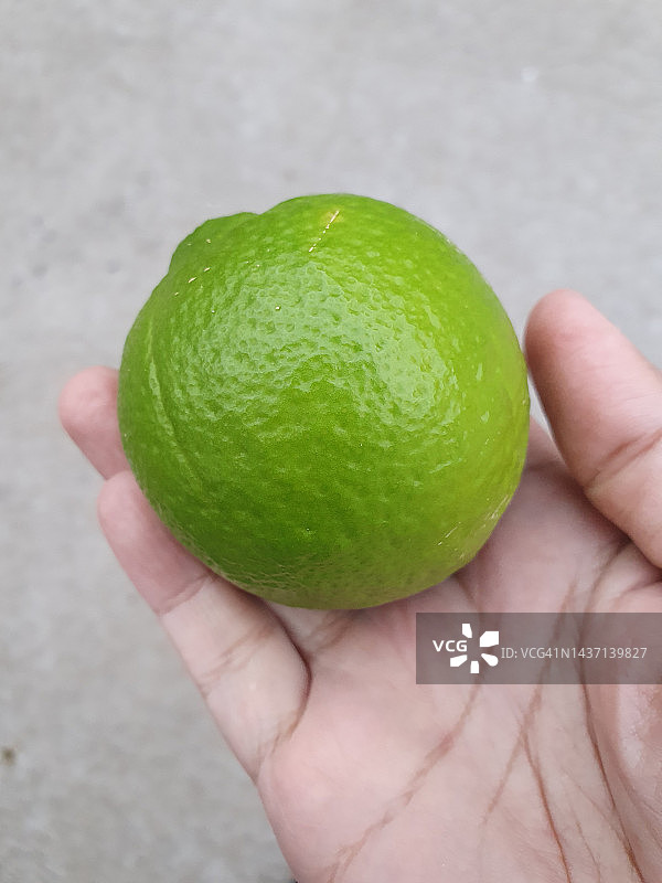 柑橘×阔叶，又名塔希提酸橙图片素材