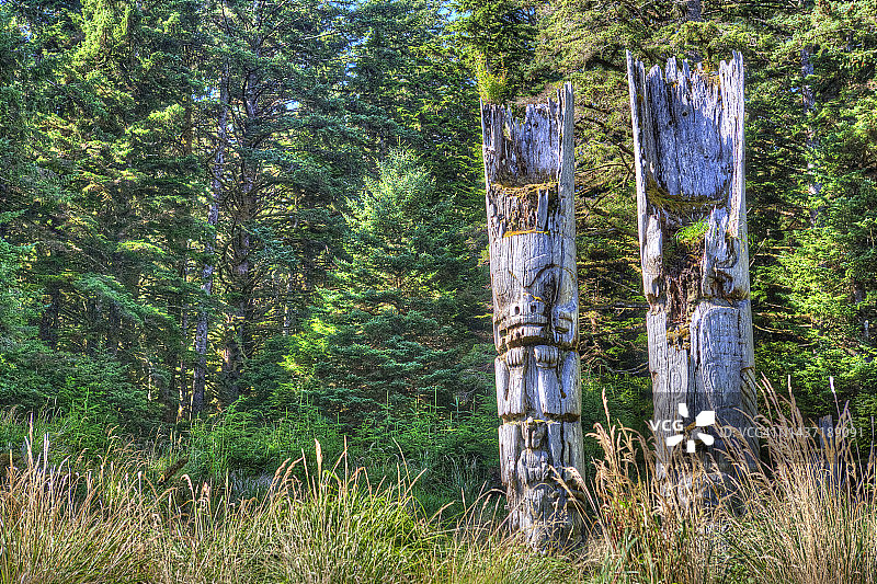 加拿大荒野中腐烂的太平间柱图片素材