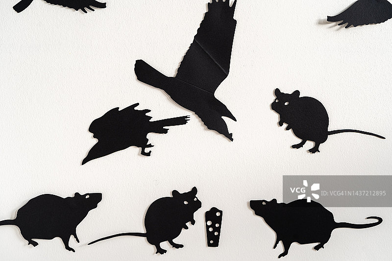 万圣节老鼠和鸟类贴纸，白色墙壁装饰。带复制空间的背景图片素材