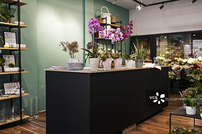 无人的花店图片素材