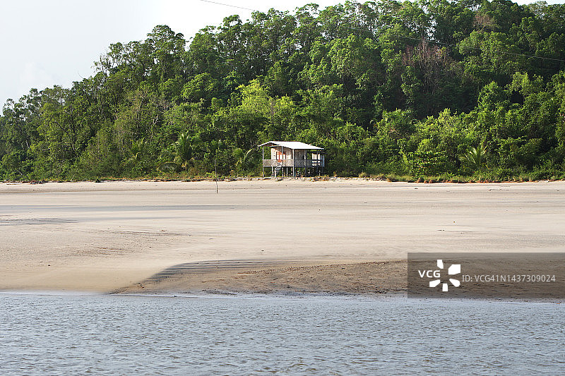 Marajó巴西亚马逊岛图片素材
