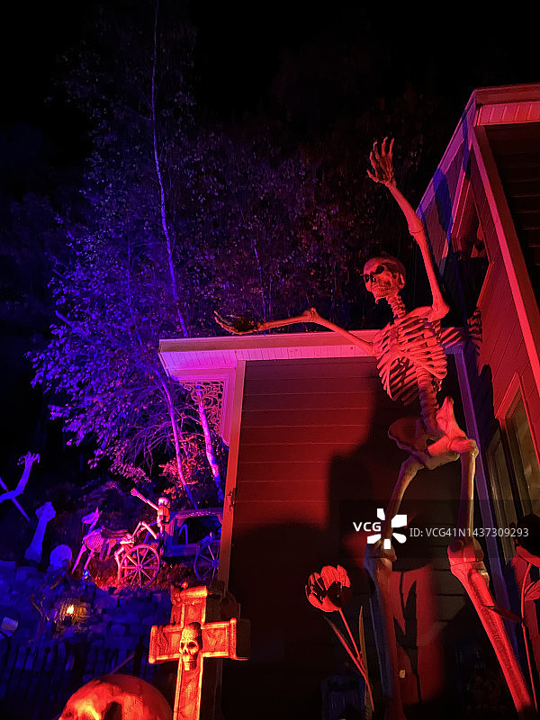 万圣节骷髅图片素材