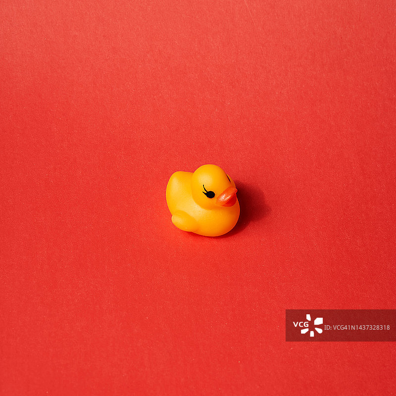 红色背景上的橡胶玩具鸭，可爱的儿童玩具，俯视，扁平风格，带复制空间图片素材