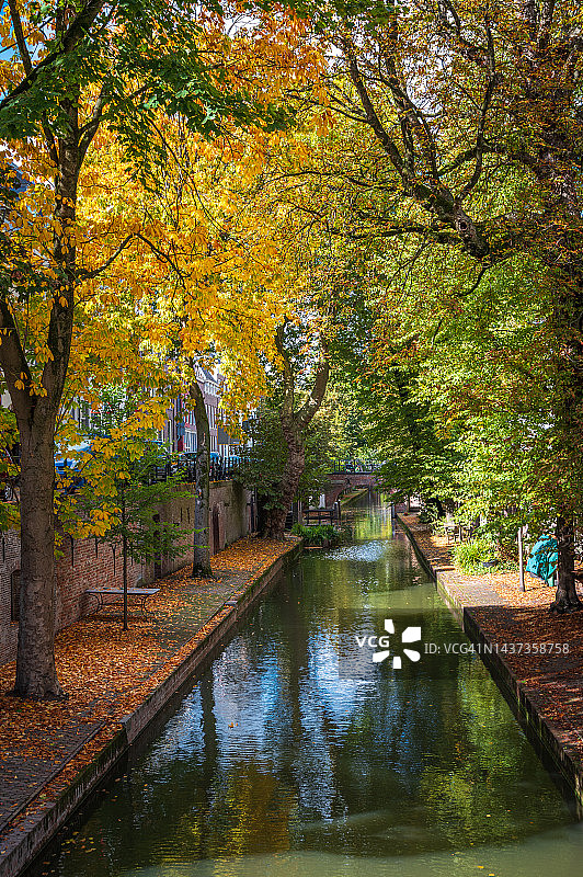 树木覆盖的运河，荷兰乌得勒支图片素材